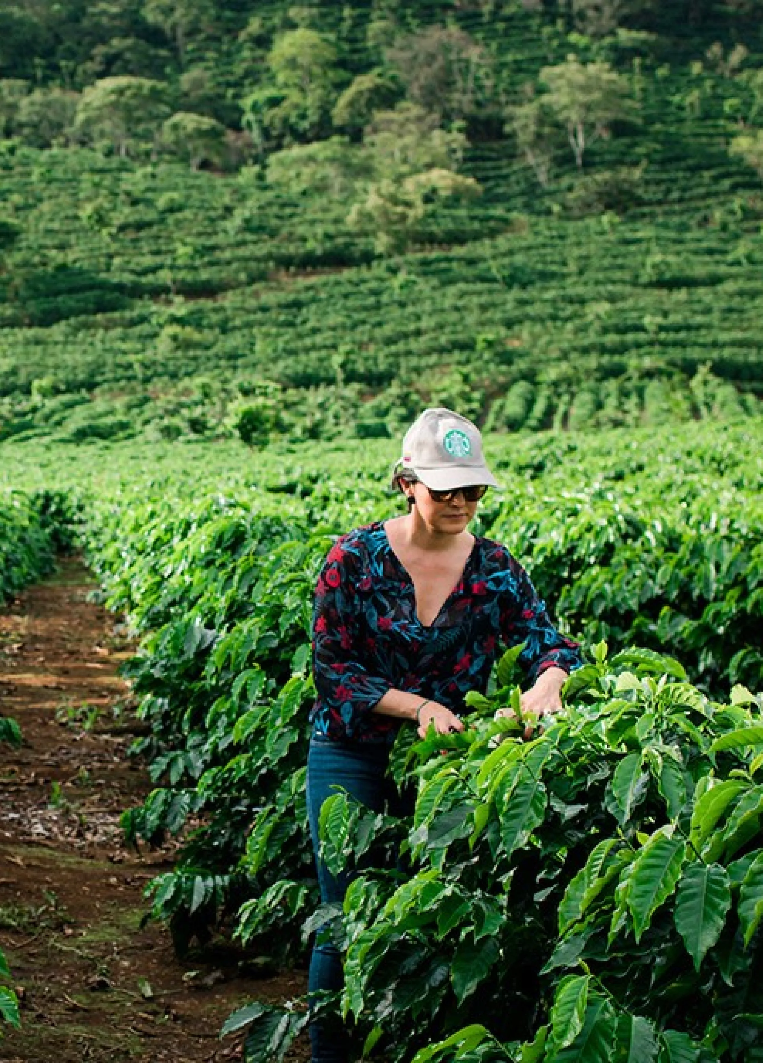 agriculteur