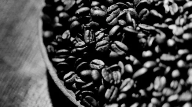 Café en grains