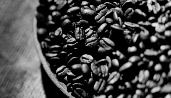 Cafés en grains  Starbucks® Coffee At Home
